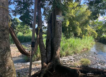 puerto-rico/el-yunque-national-forest/restaurant/el-punto-del-rico-coco