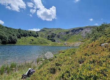 montenegro/biogradska-gora-national-park/restaurant/camp-janketic