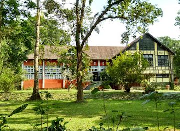 india/kaziranga-national-park/restaurant/wild-grass-kaziranga