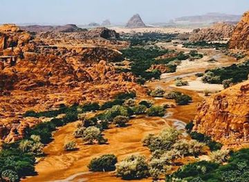 chad/borkou-ennedi-tibesti/restaurant/le-nord-desert-du-tchads-borkou-ennedi-tibesti