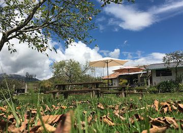 ecuador/sierra/restaurant/la-cosecha-tagualo