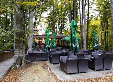 romania/rasnov-area/restaurant/papazaur