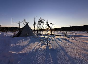 sweden/lapland/restaurant/wild-lapland