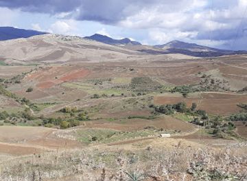 algeria/constantine/zouaghi/restaurant/restaurant-touareg