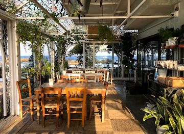 cyprus/famagusta/restaurant/the-palm-house