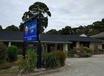 australia/wilson-s-promontory-national-park/restaurant/max-s-cafe-restaurant-foster-wilsons-prom