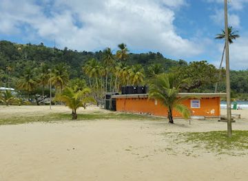 trinidad-and-tobago/maracas-bay/restaurant/daphne-s-bake-shark
