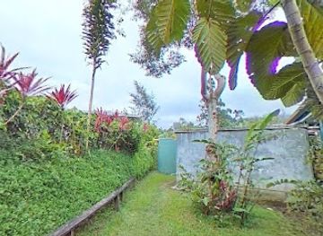 papua-new-guinea/madang-province/restaurant/maranda-lodge