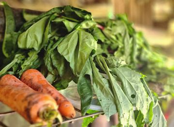 papua-new-guinea/kokoda-track/restaurant/plaza-food-station