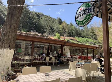 cyprus/troodos/restaurant/psilo-dendro