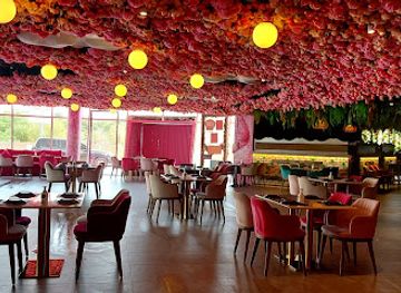 united-arab-emirates/al-ain-region/restaurant/wood-house-restaurant-al-ain