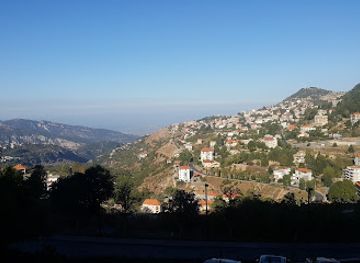 lebanon/horsh-ehden/restaurant/seasons-restaurant