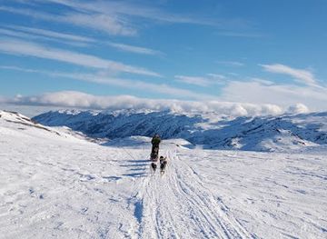 norway/rauland/restaurant/telemark-husky-tour