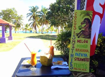 puerto-rico/vieques/restaurant/arenamar-sunbay-s-cafe