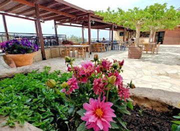 cyprus/paphos-forest/restaurant/the-mulberry-terrace-archontiko-traditional-taverna