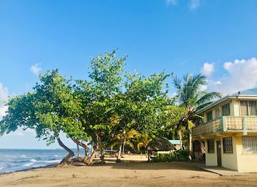 belize/vaca-plateau/restaurant/luba-laruga-cool-spot