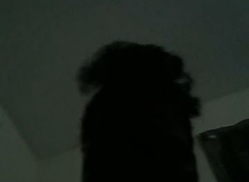 haiti/saint-marc/restaurant/gayou-snack-bar