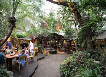 mexico/playa-del-carmen/restaurant/la-cueva-del-chango