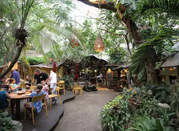 La Cueva del Chango