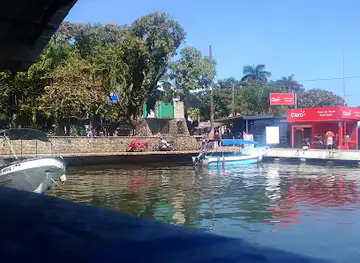 Rasta Mesa
