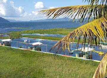 honduras/lago-de-yojoa/restaurant/especialidades-las-marias-3