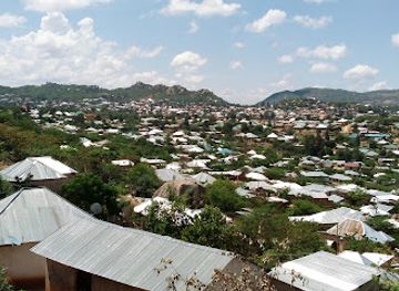 tanzania/iringa/restaurant/mafifi