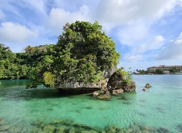 palau/rock-islands/restaurant/barracuda-restaurant
