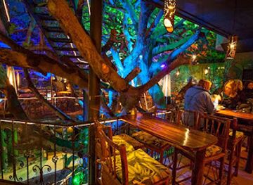 costa-rica/monteverde-cloud-forest/restaurant/tree-house-restaurante