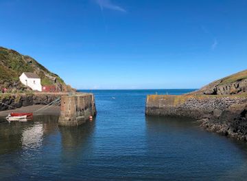 united-kingdom/pembrokeshire-coast-national-park/restaurant/the-shed-fish-chip-bistro