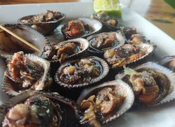 el-salvador/puerto-la-libertad/restaurant/restaurante-el-guanaco