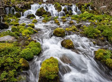 japan/koshi/restaurant/fukidashi-park