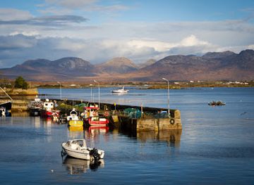 ireland/connemara-national-park/restaurant/o-dowd-s-seafood-bar-and-restaurant
