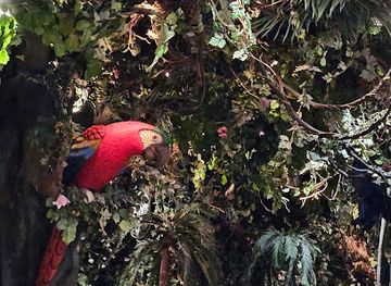 new-jersey/appalachian-trail/restaurant/rainforest-cafe