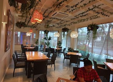 fiji/beqa-island/restaurant/bad-dog-cafe