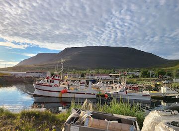 iceland/westfjords/restaurant/hopio