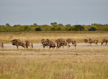 botswana/makgadikgadi-pans-national-park/restaurant/makgadikgadi-pans