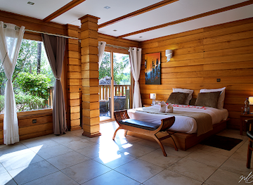 gabon/mayombe-forest/restaurant/river-lodge-resort