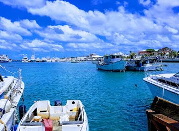 the-bahamas/nassau-and-paradise-island/restaurant/birdeye-grill
