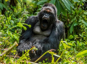 rwanda/gisenyi/restaurant/one-for-us