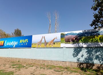 ethiopia/awasa/restaurant/desalegn-feyle-bet