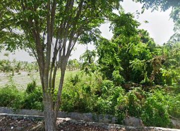 indonesia/togean-islands/restaurant/warung-makan-ikhtiar