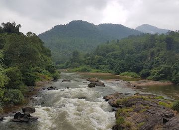 sri-lanka/kitulgala/restaurant/royal-lounge-kitulgala