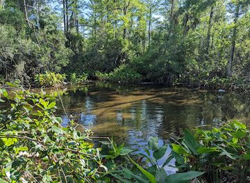florida/fakahatchee-strand-preserve-state-park/restaurant/fakahatchee-strand-preserve-state-park