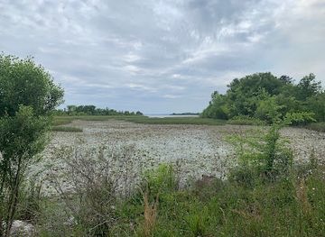 alabama/lake-eufaula/restaurant/eufaula-national-wildlife-refuge