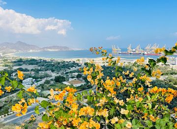 united-arab-emirates/khor-fakkan/restaurant/fen-cafe-restaurant