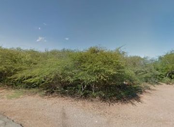 curacao/boca-hulu/restaurant/tropical-fluffy-delights