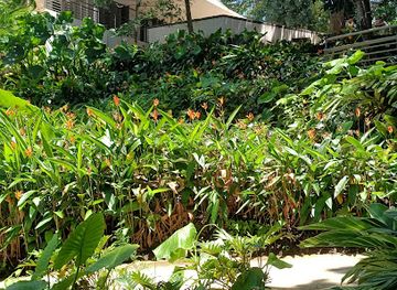 puerto-rico/caribbean-national-forest/restaurant/the-portal-rainforest-cafe