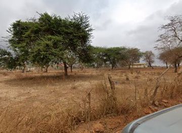 kenya/lake-victoria/restaurant/lake-victoria-fish-cafe