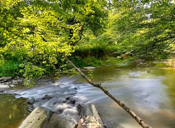 maryland/seneca-creek-state-park/restaurant/great-seneca-park-355