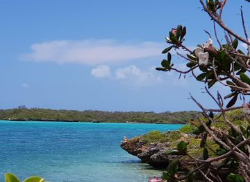 new-caledonia/ouvea-island/restaurant/soleil-levant